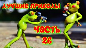 лучшие приколы #26 / приколы тик ток 2022 / нарезка приколов 2022