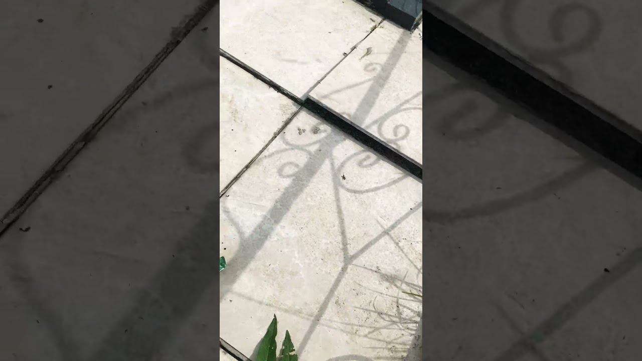 Вот так вот не надо, ПОНЯТНО? смотреть онлайн