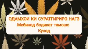 СУРАТИ ОДАМИ МУРДАРО НИГОҲ КАРДАН??