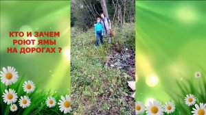 Блогеры провели расследование: кто и зачем роет ямы на лесных дорогах