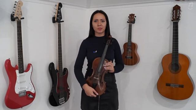Как сыграть 20 композиций на скрипке за 2 месяца смотреть онлайн