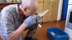 2020г январь. АБОРИГЕНЫ. ЖИЗНЬ В ГЛУБИНКЕ. КАК ЧИСТО РАЗДЕЛАТЬ РЫБЫ.  В ГОСТИ К РОДНЕ. №13