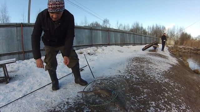 Весна в Двенди 2 смотреть онлайн