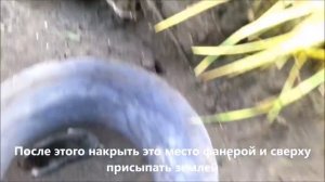 Как поймать крота. Эффективный метод избавиться от кротов