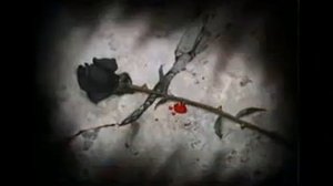 Варовайки
