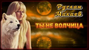 Руслан Малаев - Ты не волчица | Шансон Юга