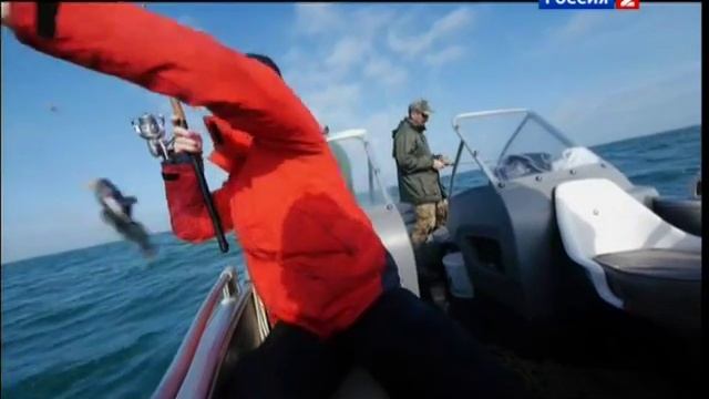 Диалоги о рыбалке 2012. Черноморский бычок (часть 2). смотреть онлайн