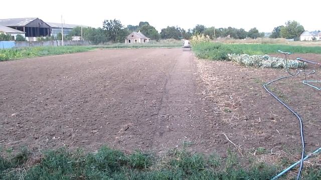 Сеем и укатываем ячмень мотоблоком смотреть онлайн