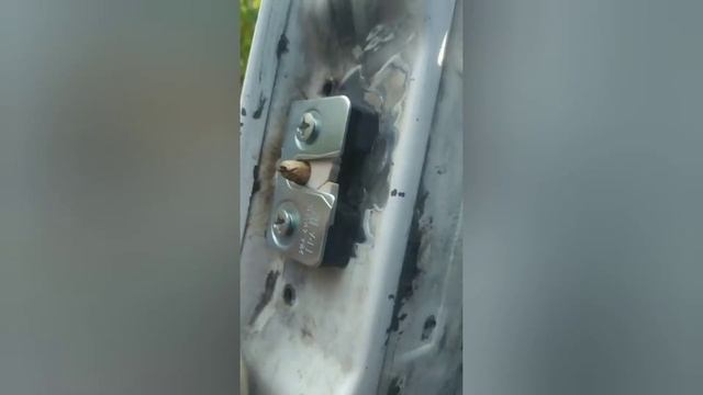Мало шумные замки в МАЗ Зубренок