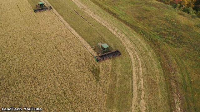 Самоходные косилки John Deere W110 (MacDon M105) косят двойной валок