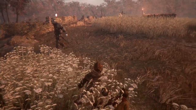 ПУТЬ ДО ФЕРМЫ ЛАВРЕНТИЯ- прохождение A Plague Tale: Innocence #5