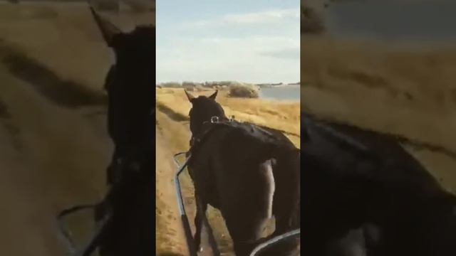 Прогулки по просторам Самарской обл. с. Хрящёвка