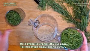 МК "Отвар "Хвойный" из сосновых иголок" ? Зимняя фитотерапия: готовим доступный и полезный напиток