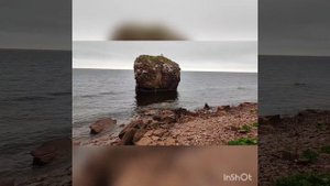 вдоль Терского берега. побережье белого моря