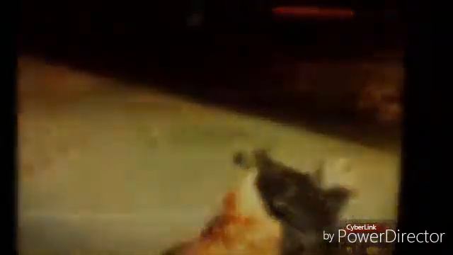 (S.T.A.L.K.E.R ) история стрилка фильм (1серия) смотреть онлайн