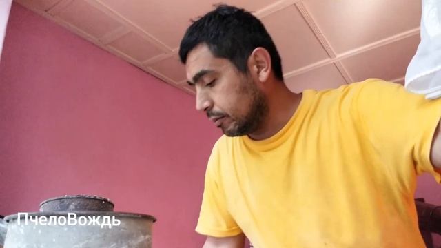 ПчелоВождь и маточное молочко( как добыть?)