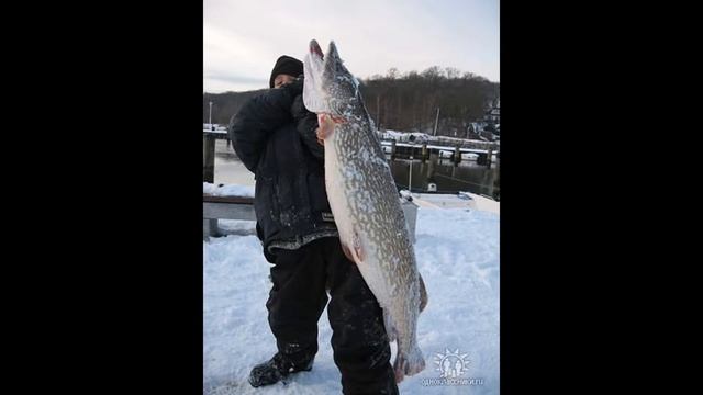 нарезка фото друзей смотреть онлайн