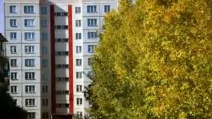 Город Заринск