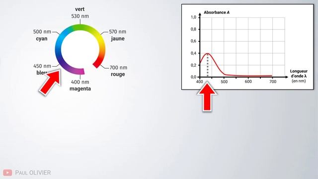 Quelle est la couleur de la solution ? Spectre d'absorption | Exercice | 1ère spé | Chimie смотреть онлайн