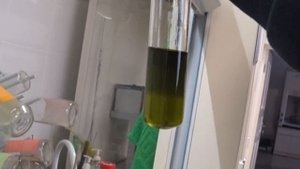 Выделение хлорофила и пигментов из листьев растений. Проект школьника