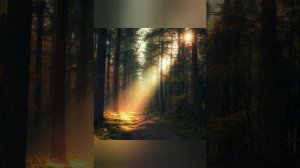 Честер Небро - Пусть горит свет