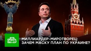 «Говорит то, что другие боятся»: почему Маск предложил план по Украине