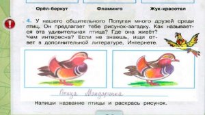 Окружающий мир. Рабочая тетрадь 3 класс 1 часть. ГДЗ стр. 62 №4