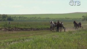 Конные бега   Успенский ипподром