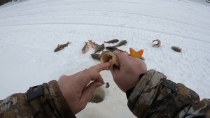 ПЕРВАЯ ЗИМНЯЯ РЫБАЛКА НА ЛЮБИМОЙ СЕВЕРНОЙ РЕКЕ! Самая классная рыбалка! ОКУНЬ ВОРУЕТ ЛЮБИМУЮ УДОЧКУ