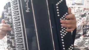 Сектор Газа - бомж на баяне