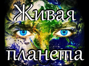 Борис Юлин и Гоблин - Теория про живые планеты