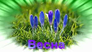 Футаж. Весна 23
