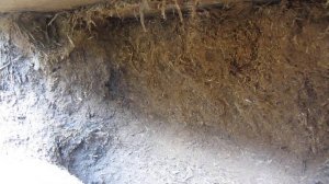 Саман. Как делать нельзя.