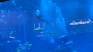 КАМИЛЬ и АМИНА УЕХАЛИ ОТДЫХАТЬ! КУДА МЫ ПОЛЕТЕЛИ? НОВЫЙ ВЛОГ от КИКИДО!