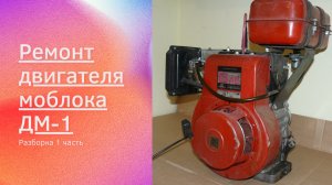 Ремонт двигателя ДМ от мотоблока 1 часть Разборка