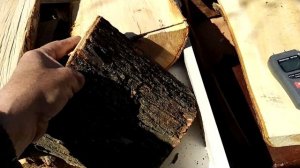 Результаты 2х недельной инфракрасной сушки разного вида древесины.