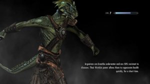 Elder Scrolls V  Skyrim Crash to Desktop