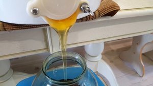 ЦЕНА НА МЕД | ЗА СКОЛЬКО МЫ ПРОДАЕМ МЕД | ВЫГОДНО ЛИ ПРОДАВАТЬ МЕД??