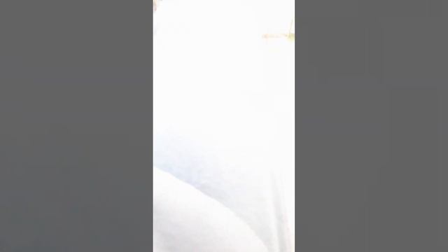 попробывали чили перец.Часть 4 смотреть онлайн