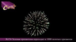 Зеленая хризантема переходит в 1000 золотых хризантем (№156)