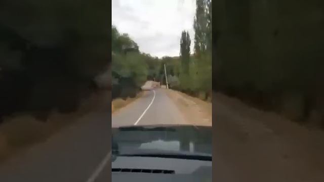 Дорога в ад? Туркестанский ноу хау Шукеева?