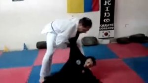 Sin moo hapkido villavicencio meta