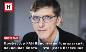 ПРОФЕССОР РАН КОНСТАНТИН ГОНГАЛЬСКИЙ: ПОЧВЕННАЯ БИОТА — ЭТО ЦЕЛАЯ ВСЕЛЕННАЯ