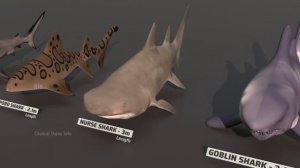Fish Size Comparison 3D 2022 | Size of Whales