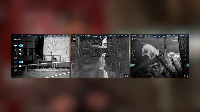 InfiRay Rico RL42 Thermal Scope Review смотреть онлайн