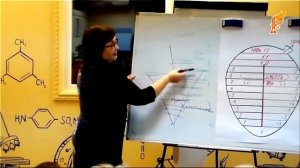 Структура Смерть, как она работает Токарева Н П.