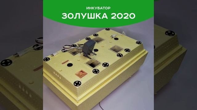 Золушка 2020 (70)