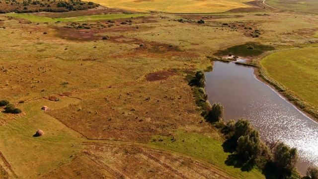 Заречье. Карьер. Орешник. Плотина. Осенние краски 2019 смотреть онлайн
