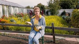 Обработка  почвы в конце сезона. | Зачем известковать почву?