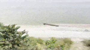 "Вдоль моря" Отправление со станции Ейск, на поезде №232, сообщением: Ейск - Москва.